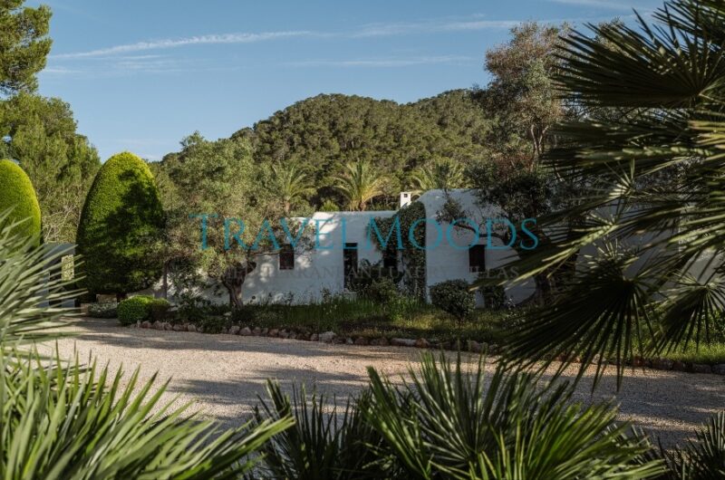 Luxury-villa-for-rent-ibiza-ferrer (127)