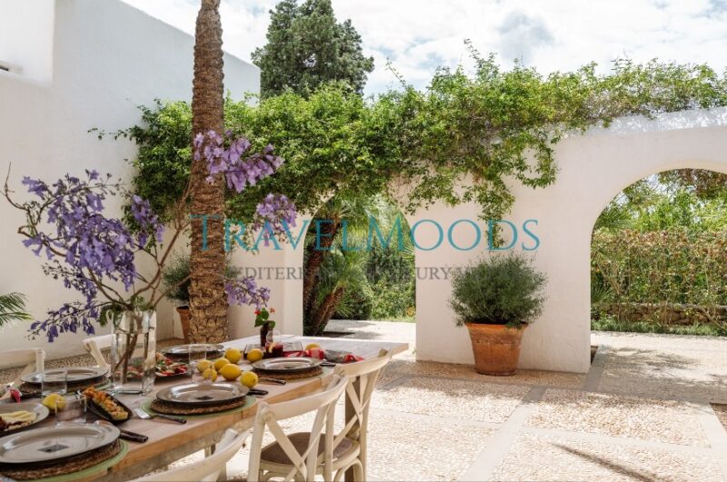 Luxury-villa-for-rent-ibiza-ferrer (98)
